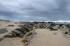 Afrique du Sud - Cap Saint Francis - Rochers sur la plage