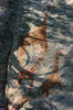 Botswana, Namibie, Zambie - Tsodilo Hills - Gravures rupestres