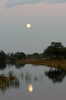 Botswana, Namibie, Zambie - Parc de Mudumo - Pleine lune