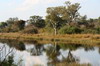 Botswana, Namibie, Zambie - Parc de Susuwe - Rivire prs du campement