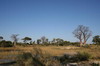 Botswana, Namibie, Zambie - Delta de l'Okavango - L'le de notre bivouac