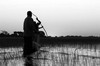 Botswana, Namibie, Zambie - Delta de l'Okavango - Crpuscule