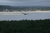 Le Nordeste du Brésil - Praia do Frances - Urubu noir au dessus de la palmeraie