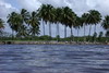 Le Nordeste du Brsil - Porto de Galinhas - Plage de Maracaipe