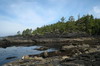 Canada - Sentier ctier Juan de Fuca - La cte rocheuse