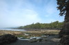 Canada - Sentier ctier Juan de Fuca - Botanical Beach