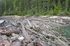 Canada - Randonnée au Lac Garibaldi - Troncs dans le déversoir du lac