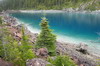 Canada - Randonne au Lac Garibaldi - Belle couleur malgr le ciel gris