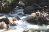 Canada - Stawamus Chief (Squamish) - Torrent  Shannon Falls