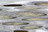 Canada - Spotted Lake (Vallée Okanagan) - Gros plan sur les cercles