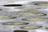 Canada - Spotted Lake (Valle Okanagan) - Gros plan sur les cercles