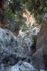 La Cr�te des bergers - Kritsa - Les gorges