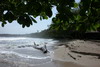 Circuit au Costa-Rica - Parc National de Cahuita - La plage