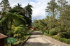Cuba - La Gran Piedra - Les bungalows