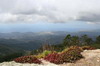 Cuba - La Gran Piedra - Vue depuis le sommet (1234 m)