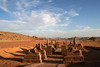 Egypte - Lac Nasser - Temple d'Harmakis - Alle de Sphinx