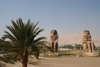 Egypte - Louxor - Les colosses de Memnon