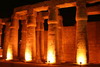 Egypte - Temple de Louxor - Colonnes de la cour de Ramsès II