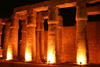 Egypte - Temple de Louxor - Colonnes de la cour de Ramss II