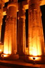 Egypte - Temple de Louxor - Colonnes de la cour d'Aménophis III