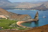 Galapagos - Bartolom - Le Pinnacle Rock et l'Anglique