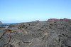 Galapagos - Santiago - Coulée de lave