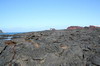 Galapagos - Santiago - Coule de lave