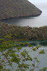 Galapagos - Isabela - Tagus Cove et la lagune