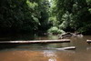 Guyane franaise -  - La Nouvelle France