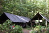 Guyane franaise - Bois tomb - Notre carbet