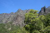 Iles Canaries - Caldera de Taburiente (La Palma) - Pins canariens et sommets de la caldera