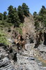 Iles Canaries - Caldera de Taburiente (La Palma) - Ruisseau