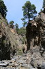 Iles Canaries - Barranco Las Angustias (La Palma) - Le barranco