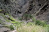 Iles Canaries - Barranco de Masca (Tenerife) - Dbut de la descente