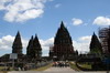 Indonésie - Temple de Prambanan (Java) - Vue générale du site