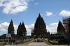 Indonsie - Temple de Prambanan (Java) - Vue gnrale du site