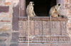Inde - Fort de Ranthambore - Singes langurs