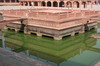 Inde - Fatehpur Sikri - Bassin
