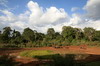 Voyage naturaliste au Kenya - Mountain Lodge (PN Mont Kenya) - Elphants au point d'eau