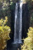 Voyage naturaliste au Kenya - Thomson Falls - La cascade vue d'en haut