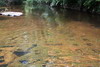 Cambodge - Phnom Kulen - Lingas et yonis dans la rivire