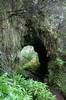 Randonne  Madre - Santo da Serra - Pont sur la levada