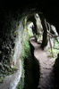 Randonne  Madre - Santo da Serra - Tunnel