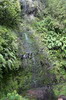 Randonnée à Madère - Queimadas - Petite cascade
