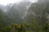 Randonnée à Madère - Caldeirao Verde - Vallée et sommets brumeux