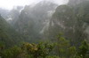 Randonne  Madre - Caldeirao Verde - Valle et sommets brumeux