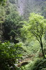 Randonnée à Madère - Caldeirao Verde - Site du pique-nique