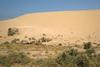 Maroc - Trajet Tamri - Tildi - Dune