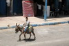 Maroc - Smimou - Garçon sur son âne