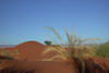 Namibie - Sesriem - Dune au coucher du soleil